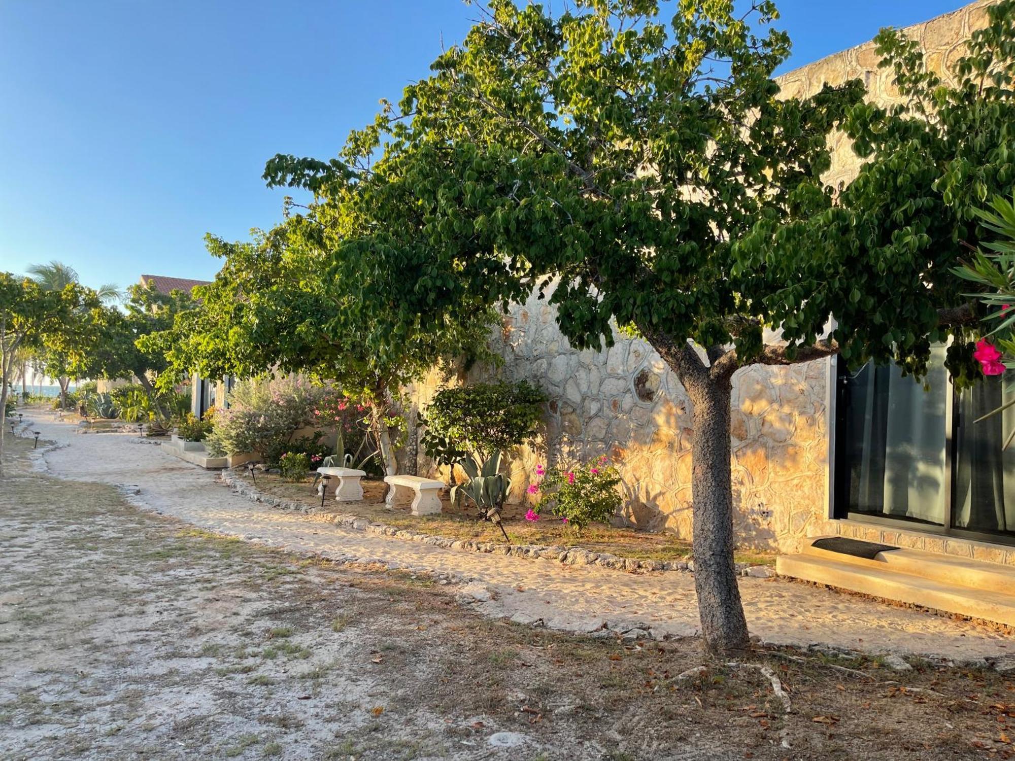 Bremar 85 Private Place - Adults Only Celestun Εξωτερικό φωτογραφία